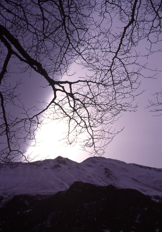 Controluce